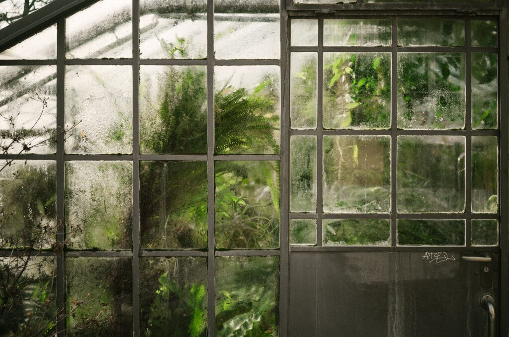 Frosted glass on a greenhouse with lush plants inside.